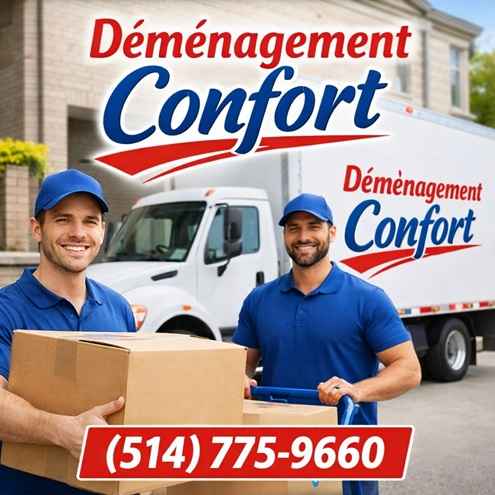 Déménageurs transportant des boîtes près d'un camion